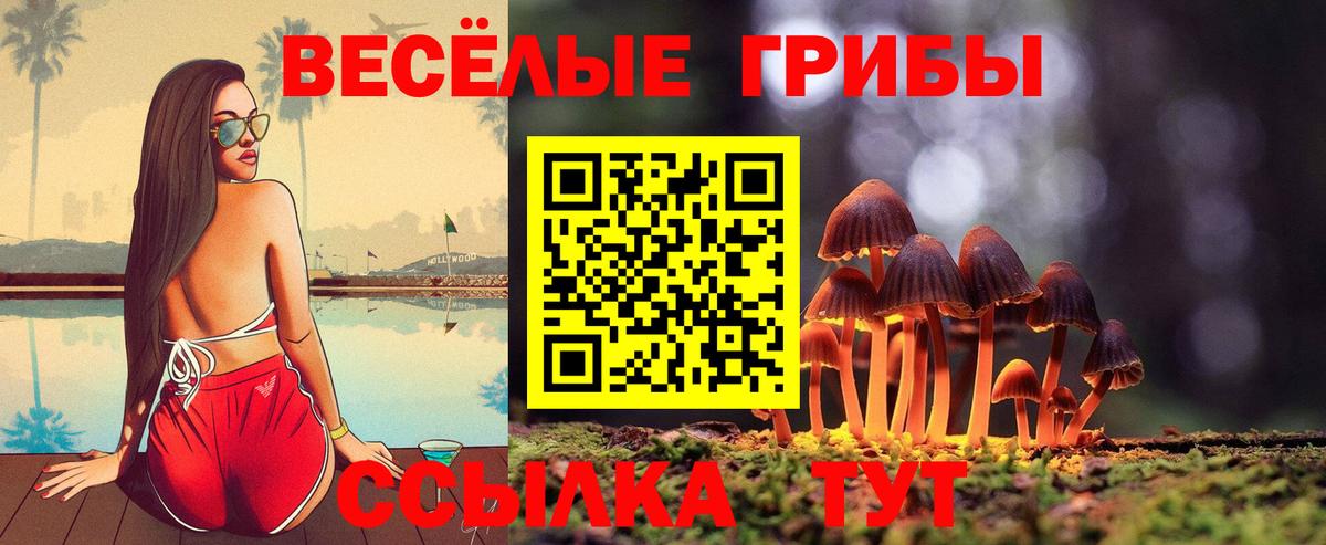 Псилоцибиновые грибы ЛСД  Галлюциногенные грибы Cubensis  Вход с VPN  Пермь 